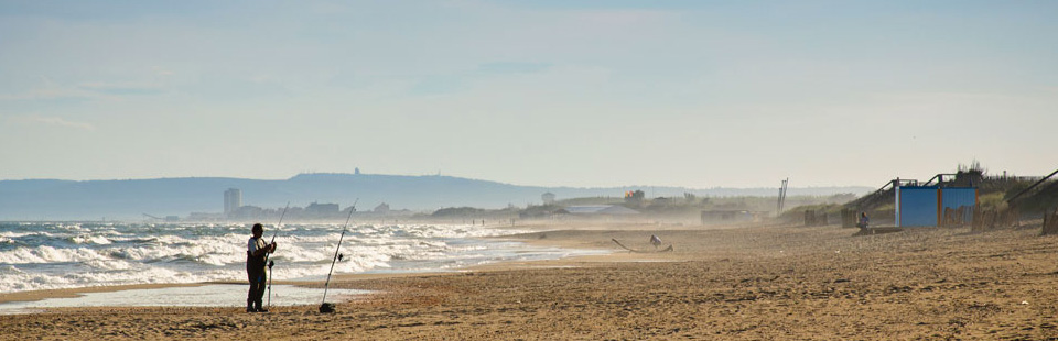 Photo d'une plage de la côte héraultaise
                     qui est l'une des plus sauvegardées de la Méditerranée. 100 km
                     de littoral !